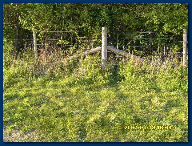 600x449 pixels (254K)